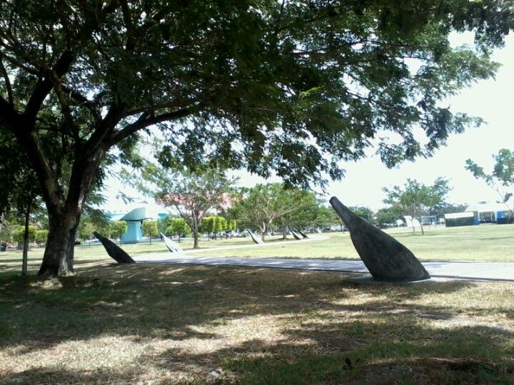 16+ Banda Aceh Padang
Gif