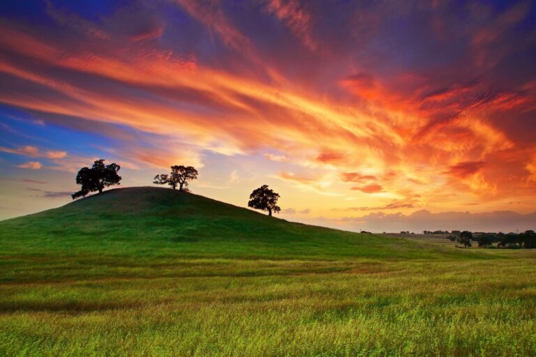 View Wallpaper 4K 1920X1080 Nature PNG