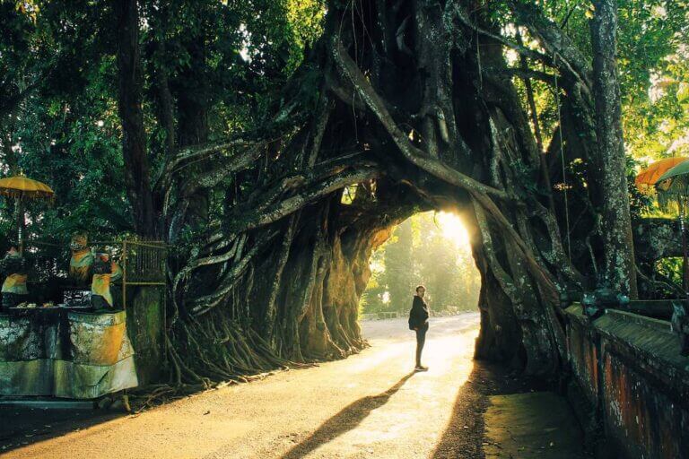 View Nama Tempat Wisata Unik Di Bali
Gif
