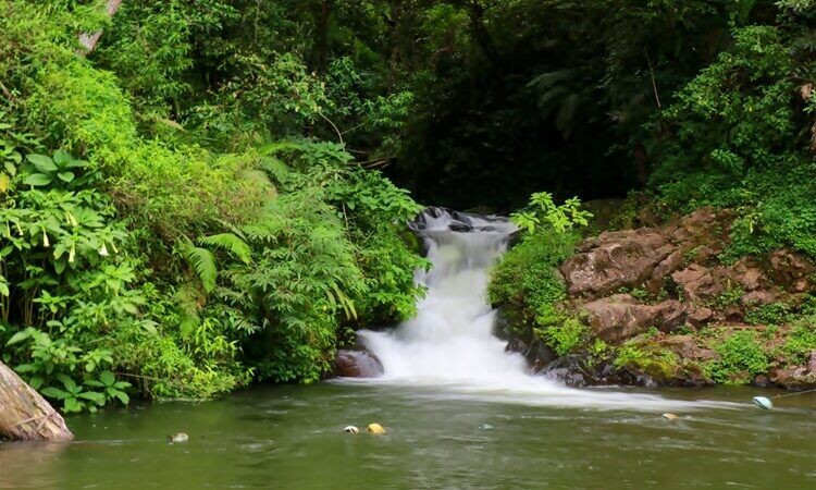 Download Tempat Wisata Di Bandung Lembang Yang Bagus
 Background