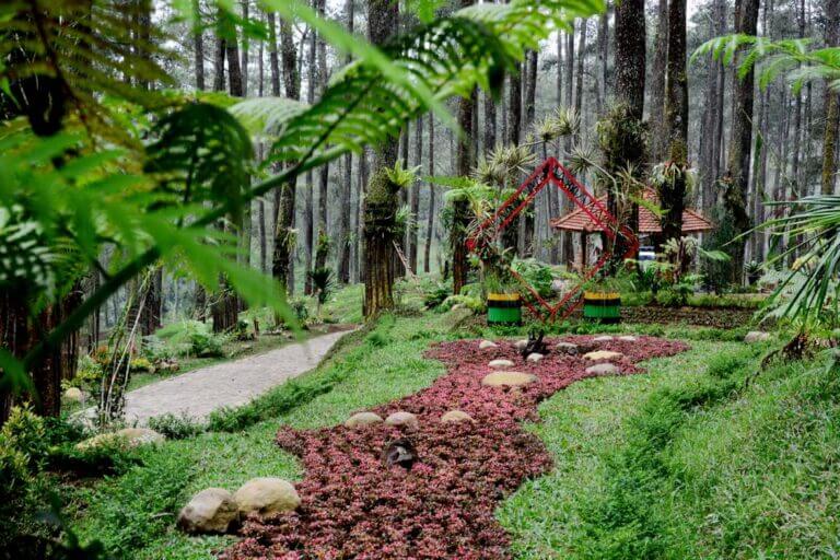44+ Tempat Wisata Di Bandung Orchid Forest
PNG