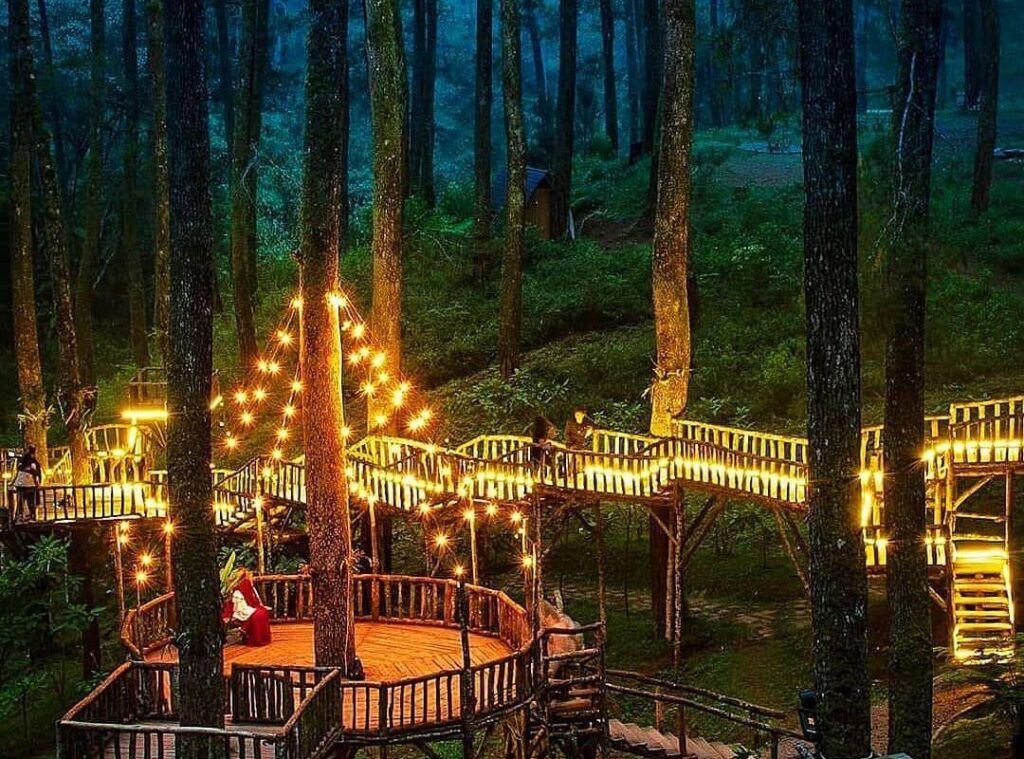 Get Tempat Wisata Di Bandung Hutan Pinus PNG - Visit Banda Aceh