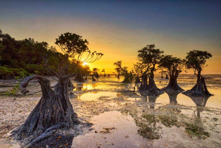 45+ List Tempat Wisata Di Bali
Gif