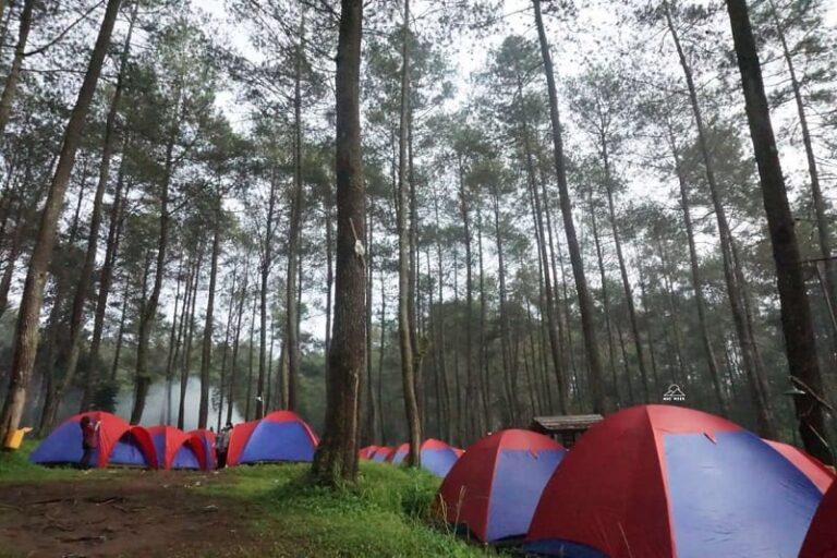 Download Tempat Wisata Di Bandung Cikole
 PNG