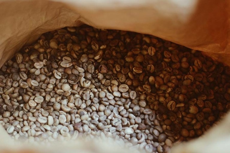 Get Banda Aceh Festival Coffee
Pictures