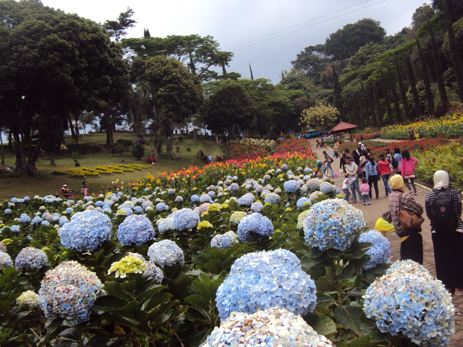 View Tempat Wisata Untuk Anak Di Bogor
 Images