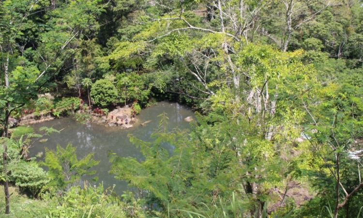 17+ Tempat Wisata Kuliner Di Banda Aceh
 Images