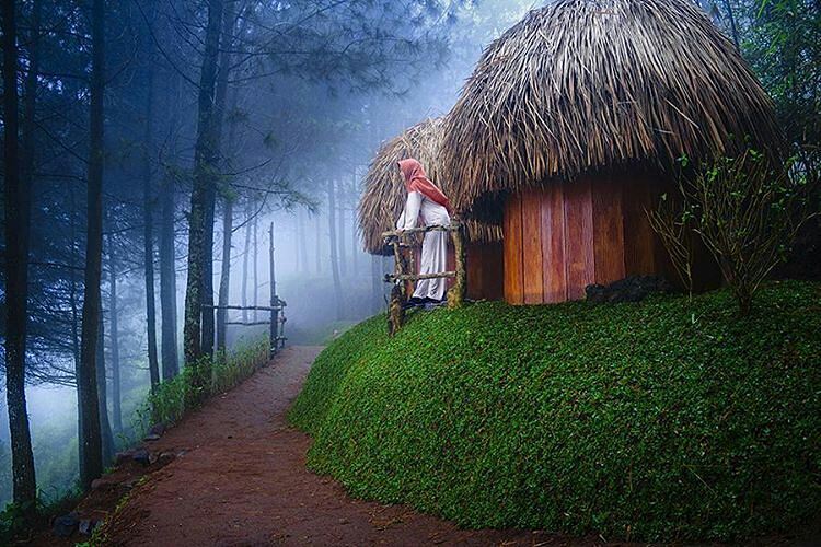 49+ Tempat Wisata Instagramable
Images