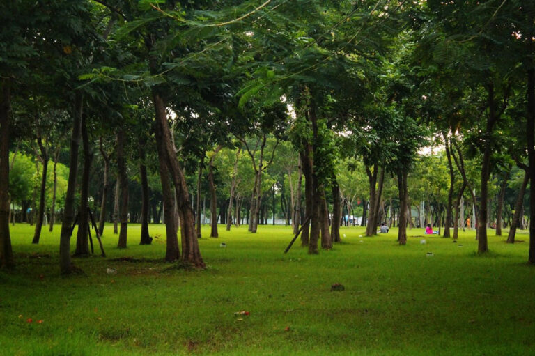 39+ Tempat Wisata Di Jakarta Murah
Gif