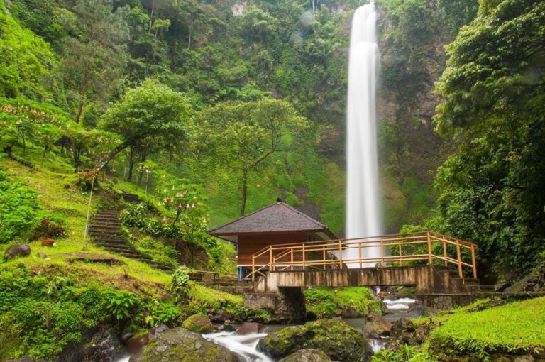 43+ Tempat Wisata Terdekat
Background