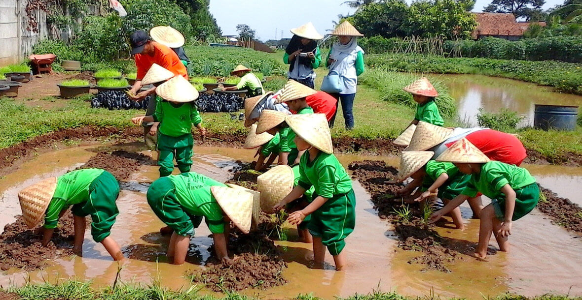 tempat wisata edukasi atau pendidikan adalah Melihat tempat asimilasi dan sekaligus obyek wisata edukasi sae l'sima